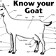 Illustration for article titled Buy Mitsubishi, Get Goat For Free